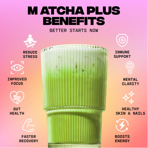 Matcha+ Starter Kit (30 Servings) - Essential Home Ready Fit